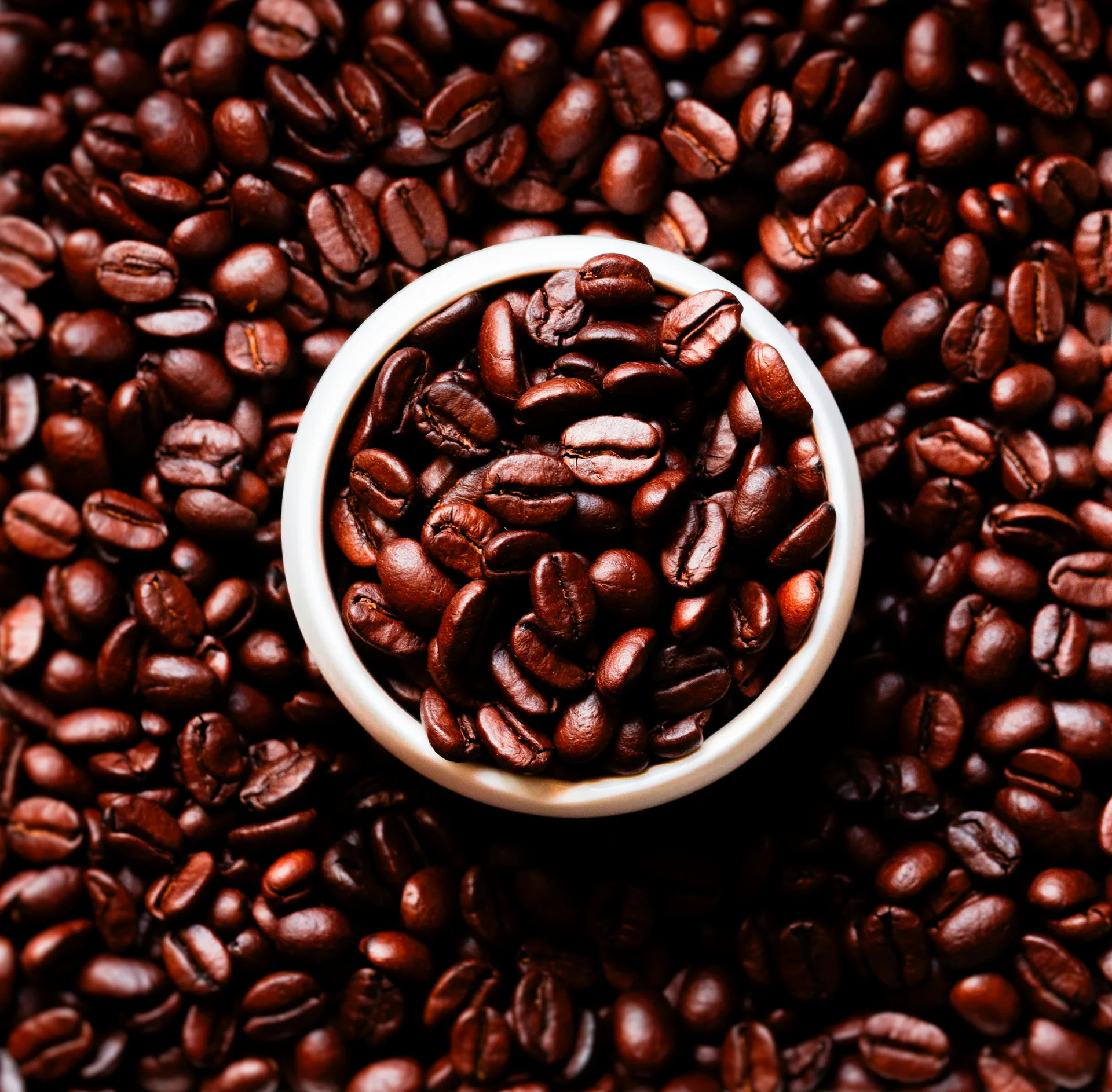 Ethiopia Yirgacheffe Washed Gr. 1 – Single Farm: Halo Beriti – Mr. Bekele Gemeda