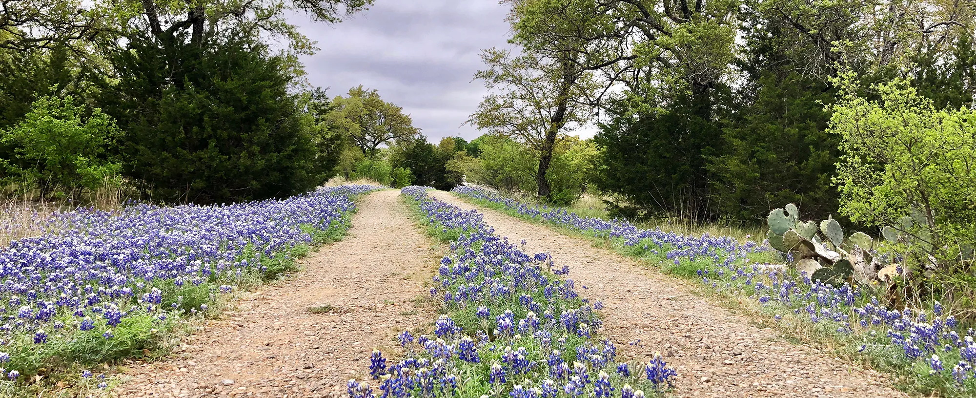 Blanco, Texas