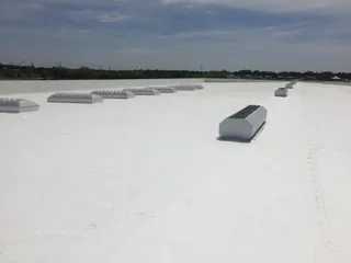 Roof with Skylights
